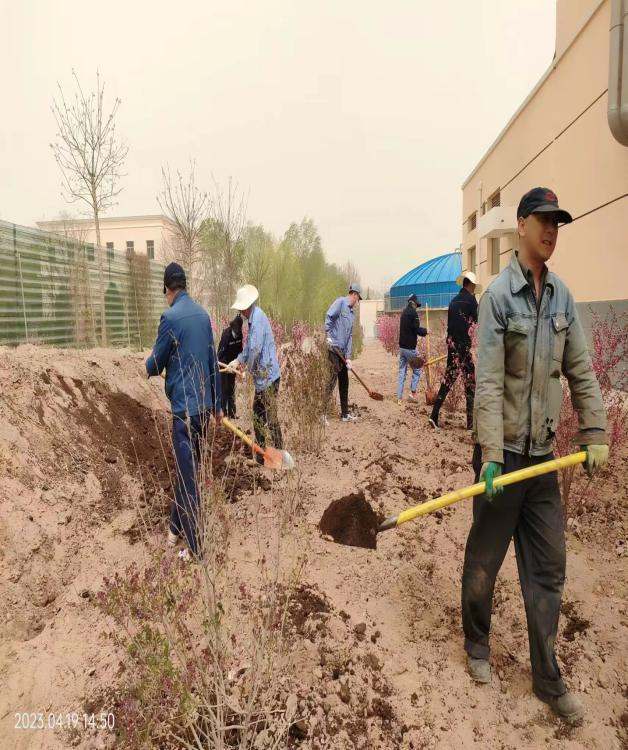 圖片4.png 圖片4.png